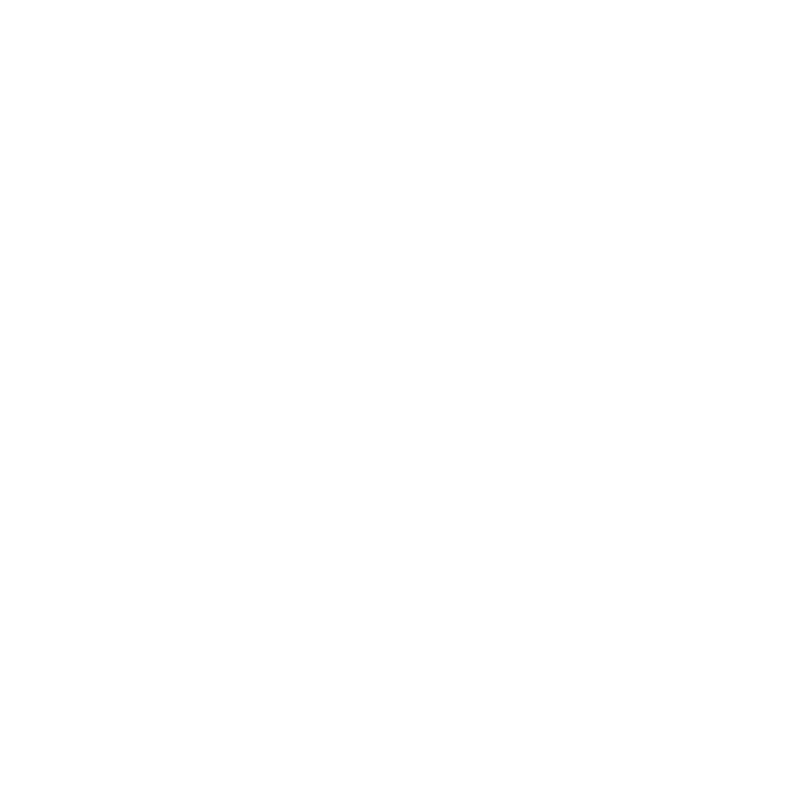 Racing Wheels